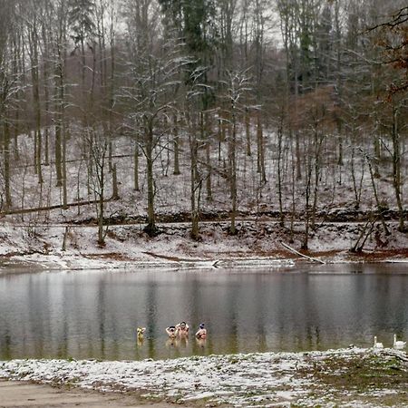 Bosko Domki Z Sauna I Balia W Sulminie Obok Gdanska Exterior photo